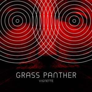 grasspanther_vignette